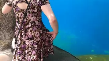 Quick lash at the aquarium