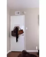 Dance & Jiggle