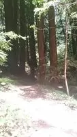 Just trying to make my hike exciting