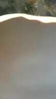 Me , taking a big cock whilst bend over outdoors.