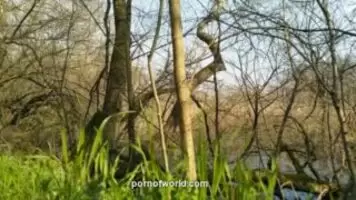 Cute sucks a dick in nature MissNimpho. - amateur