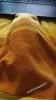 monster hiding under the blanket