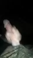 Let me cum in your mouth so you can spit it back onto my dick and keep sucking.