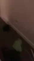 When I fucked three guys