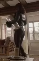 Emmanuelle Chriqui