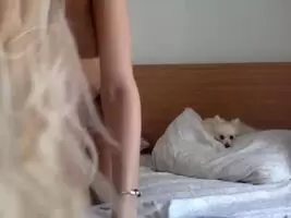 Cute Dog