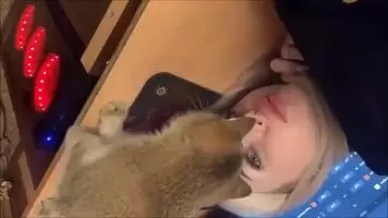 Cute Little Kitty 😍