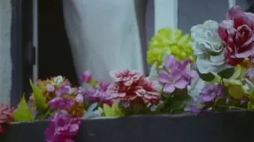 Charli XCX inviting you in
