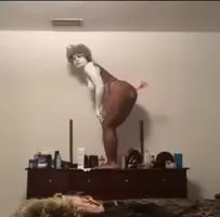 Scissor me timbers