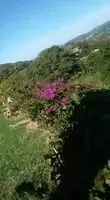 Cliff fucking