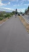 rollerblade flash 😇