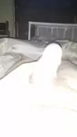 Monday Mornings are Always Slow