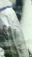 On loops