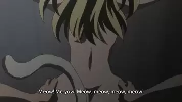 Noisy Cat-Girl