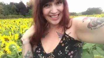 Take a walk in the sunflowers 🌻