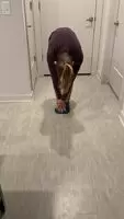 If this doesn’t belong here, I don’t know