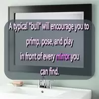 Why mirrors are so alluring...