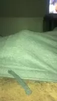 Boo!