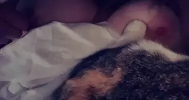 Kitties and titties 🐱