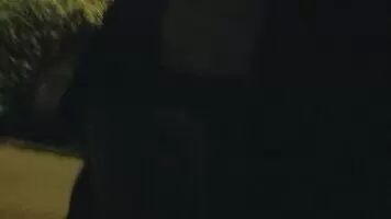 Late night urban cock urge... what would you do if you caught me like this?