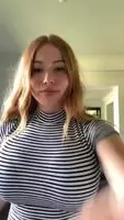 Gingy