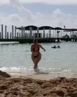 Wwyd