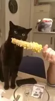Does this count?