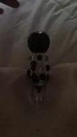 A grooly finale