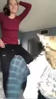 Kitty likes what he sees