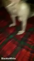 Girl Gets Pink Pussy Pounded And Stretched