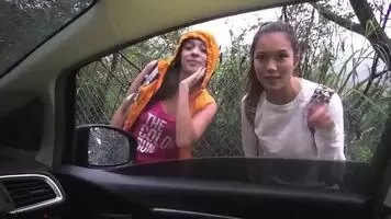 NovaPatra