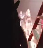 Halsey