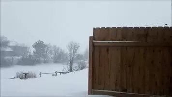 Snowed in