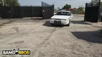 Cocks and Throbbers