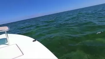 Beautiful big blue ocean
