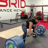 Stefanie Cohen - 500x3