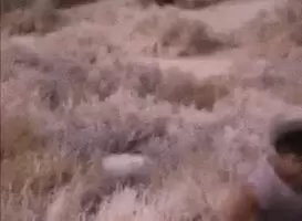 Surprise MuthaFukka