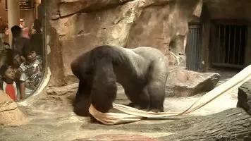 Proof of evolution