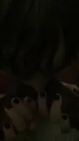 Wife tasting two cocks