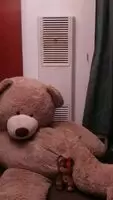 Quick upskirt GIF by