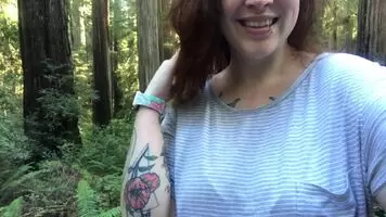 Tits in the trees