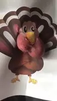 Happy Thanksgiving 🦃