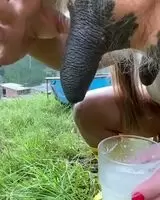 Milk