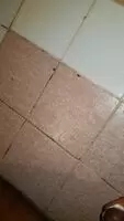 Just 12 mini ropes after reading old sex chats exhanged with my Ex