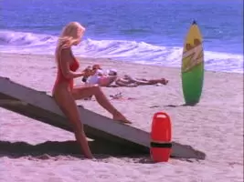 Pamela Anderson may have been famous because of her boobs, but let's not forget she had a very nice pair of legs as well.