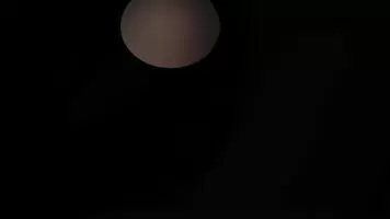 Hotwife takes the camera and records getting spit roasted by her BULL & STAG. Super Hot!🔥