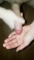 German bi-curious searching bi-curious :D ;D Wanna see my video snap? :) sc: bi_new