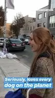 Cute: Annasophia Robb