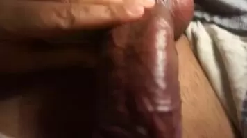 Just a quick pet.
