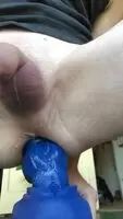 ed nova is a good ride